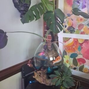 NWT Hand Blown Molten Glass Bowl & Wood Base